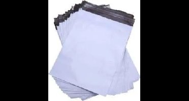 BSTech Foliopak FB02/C4 240x325 karton 2200 stuks