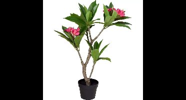 Kunstplant Plumeria 50x90 cm Roze/Groen