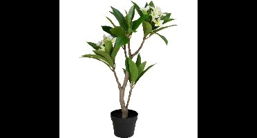 Kunstplant Plumeria 50x90 cm Wit/Groen