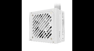 GIGABYTE P550SS ICE power supply unit 550 W 20+4 pin ATX ATX Wit