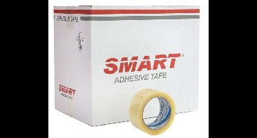 BSTech plakband Smart Acryl Transparant 48 x 60 36 stuks.