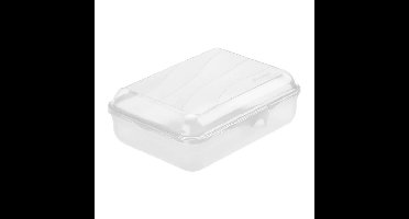 Rotho Fun Lunchbox 1.25L Transparant