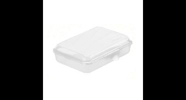 Rotho Fun Lunchbox 0.45L Transparant