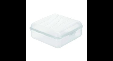 Rotho Fun Lunchbox Vierkant 2.35L Transparant
