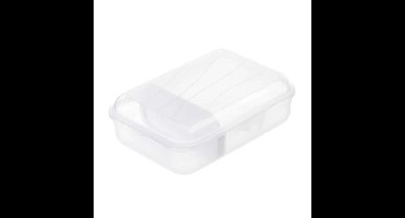 Rotho Fun Lunchbox met Verdeelschotje 0.9L Transparant