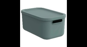 Rotho Albula Opbergbox 12L Mistletoe Groen