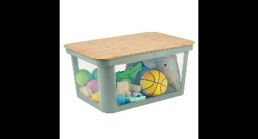 Rotho PINA Opbergbox met Deksel 45L Sage Green/Bamboe/Transparant