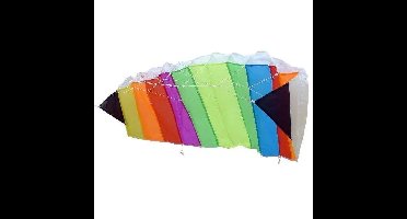 Parafoil Stunter Kite 120x50 met Tas