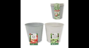Kweekset Emmer Bio Tomaten en Sla