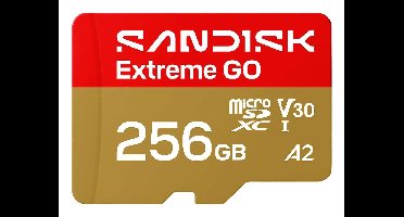 SanDisk Extreme GO 256 GB MicroSDXC UHS-I