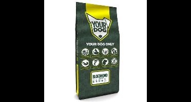 YOURDOG BLOEDHOND VOLWASSEN