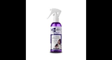 LEUCILLIN SPRAY