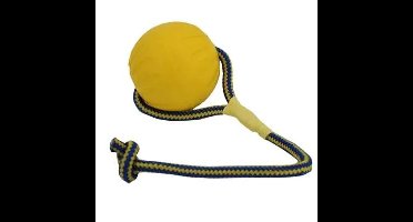 STARMARK SWING 'N FLING DURAFOAM FETCH BAL AAN KOORD