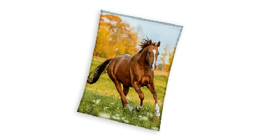 Sweet Home fleeceplaid Paard meerkleurig 150x200cm