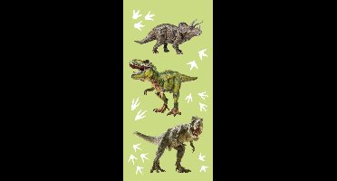 Dino Strandlaken - 70 x 140 cm
