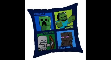 Minecraft Mob callout sierkussen 40X40 cm
