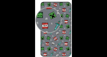 Minecraft Hoeslaken - Eenpersoons - 90 x 200 cm - grijs