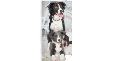 Strandlaken hond - 70 x 140 cm