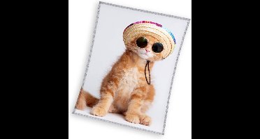 Sweet Home fleeceplaid coole cat 150x200cm polyester