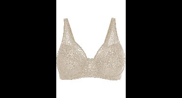 Minimizer bh met mesh