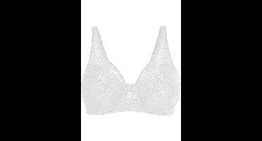 Minimizer bh met mesh