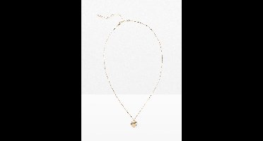 Halsketting met klein hartje