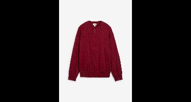 Sweatvest van puur katoen