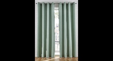 Gordijnen van microvezel (2 stuks)