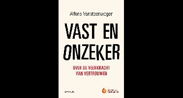 Vast en onzeker - Alfons Vansteenwegen - ebook