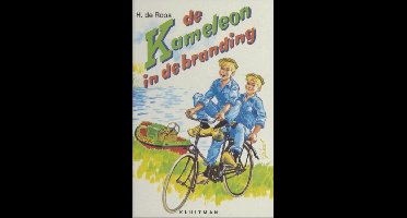 De Kameleon in de branding - H. de Roos - ebook
