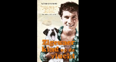 Zigeunerkind op de vlucht - Mikey Walsh - ebook