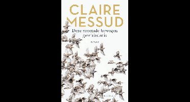 Deze vreemde bewogen geschiedenis - Claire Messud - ebook