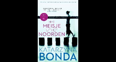 Het meisje uit het noorden - Katarzyna Bonda - ebook