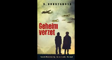 Geheim verzet - B Dubbelboer - ebook