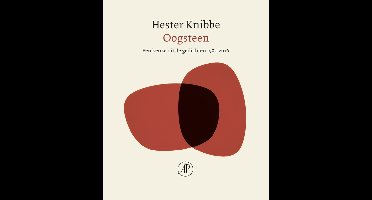 Oogsteen - Hester Knibbe - ebook