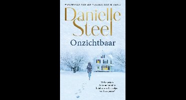 Onzichtbaar - Danielle Steel - ebook