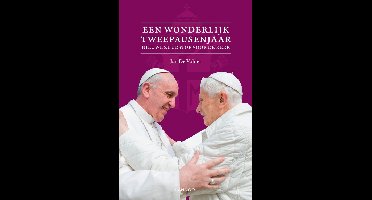 Een wonderbaarlijk tweepausenjaar - Jan de Volder - ebook