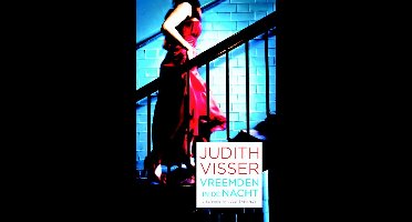 Vreemden in de nacht - Judith Visser - ebook