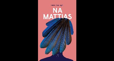 Na Mattias - Peter Zantingh - ebook