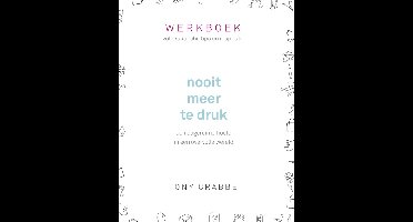 Nooit meer te druk - Werkboek - Tony Crabbe - ebook