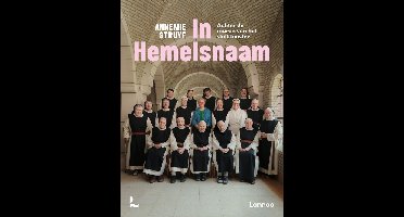 In hemelsnaam - Annemie Struyf - ebook