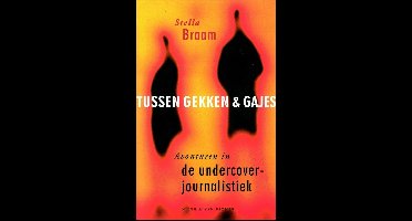 Tussen gekken en gajes - Stella Braam - ebook