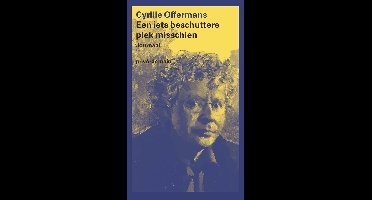 Een iets beschuttere plek misschien - Cyrille Offermans - ebook