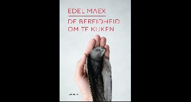 De bereidheid om te kijken - Edel Maex - ebook