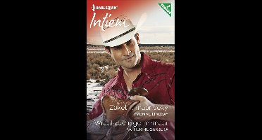 Zakelijk maar sexy ; Wraakzuchtige minnaar (2-in-1) - Yvonne Lindsay, Katherine Garbera - ebook