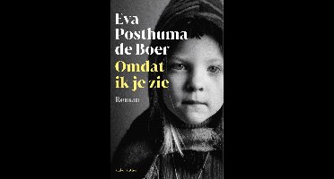 Omdat ik je zie - Eva Posthuma de Boer - ebook