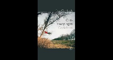 Ontsnappingen - Eva Gerlach - ebook