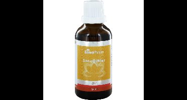 SanoConcept SanoQiNier