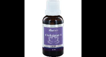 SanoConcept Chakrasan 6