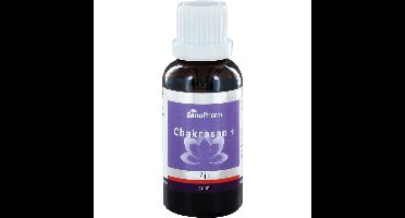 SanoConcept Chakrasan 1
